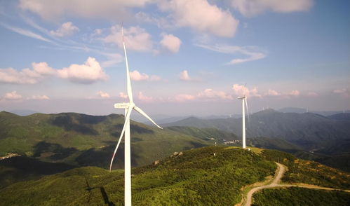 風(fēng)力發(fā)電的爭議 歐美拆除與我國大力發(fā)展的背后邏輯